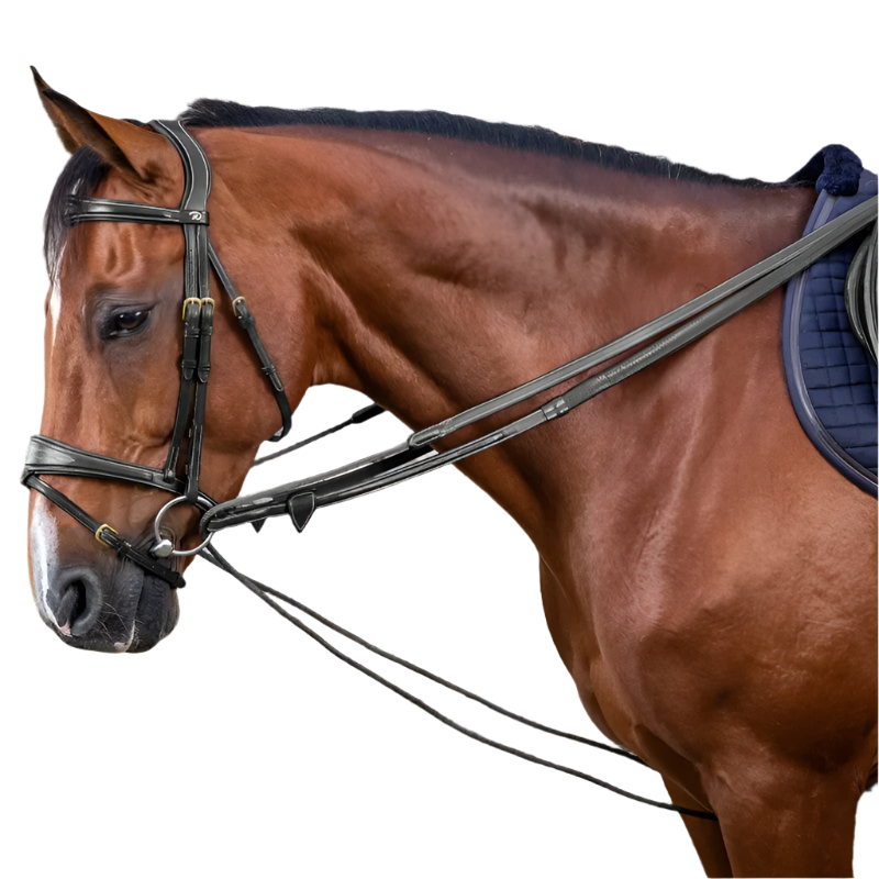 Dyon - Rênes allemandes nylon et cuir 5/8 D Collection noir | - Ohlala