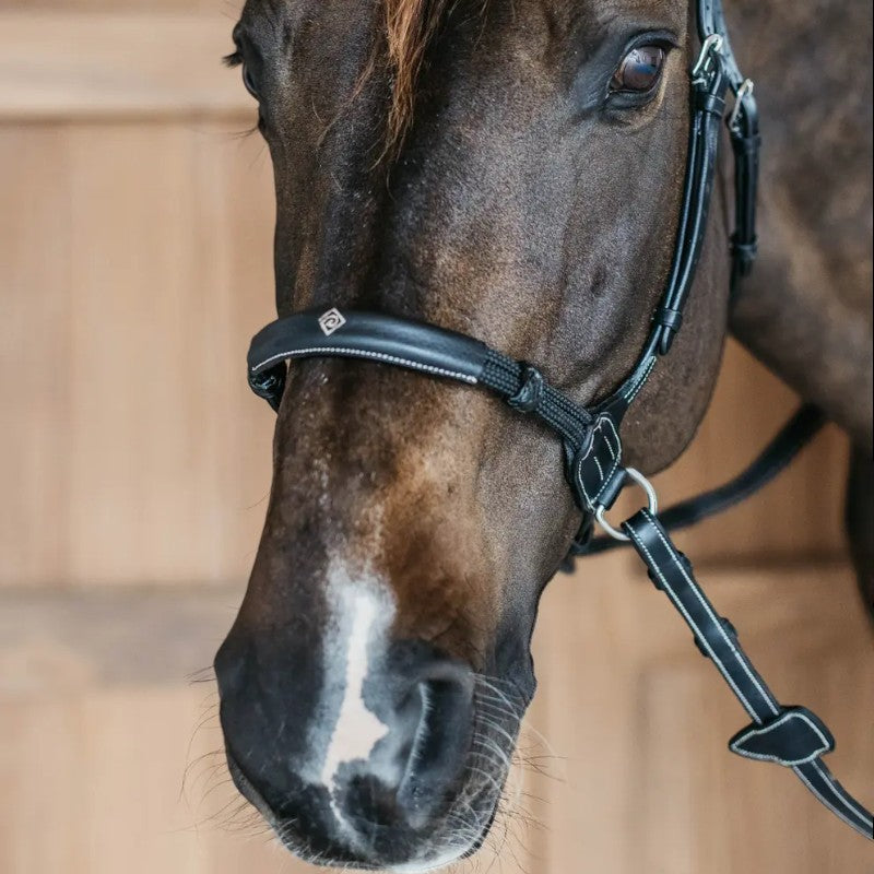 Bridon sans mors Working by Dy'on noir | - Ohlala