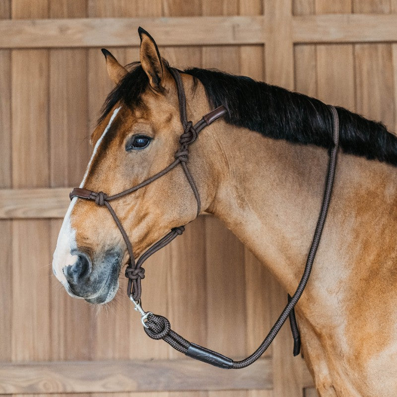 Dyon - Licol d'entraînement Working by Dyon marron | - Ohlala