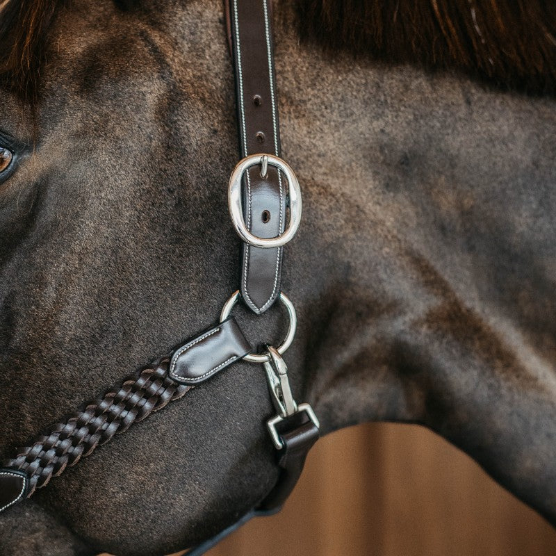 Dyon - Licol Tressé Working By Dy'on marron | - Ohlala