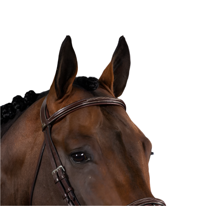 Dyon - Frontal droit US Collection marron | - Ohlala