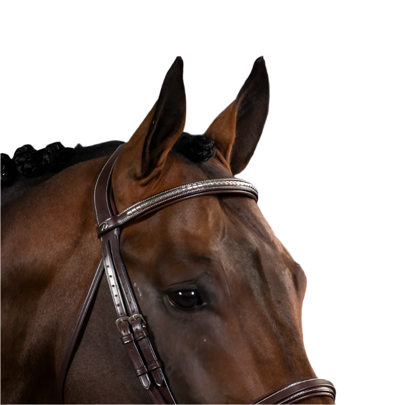 Dyon - Frontal droit clincher argenté US Collection marron | - Ohlala