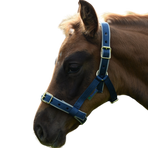 Bucas - Licol foal Dublin marine/ silver