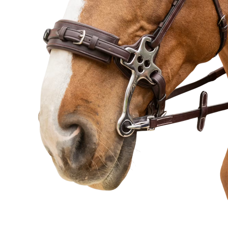 Dyon - Rênes caoutchouc 5/8 avec arrêtoirs et mousqueton Working brun