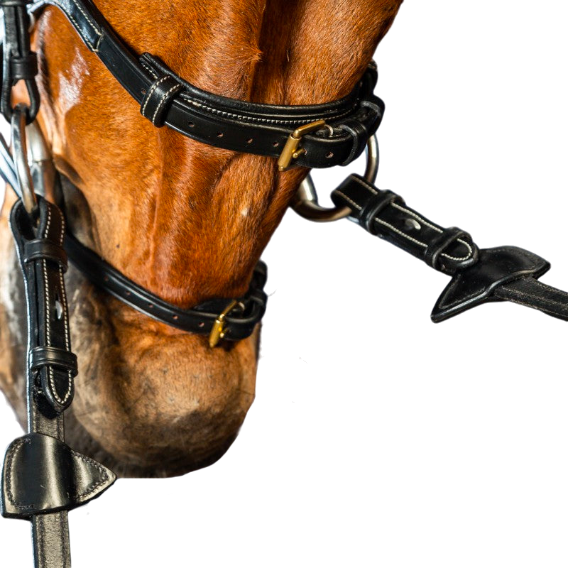 Dyon - Bridon X-Fit D Collection noir | - Ohlala