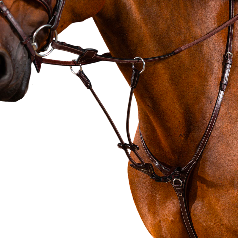 Dyon - Fourchette de martingale à anneaux élastique US Collection brun | - Ohlala