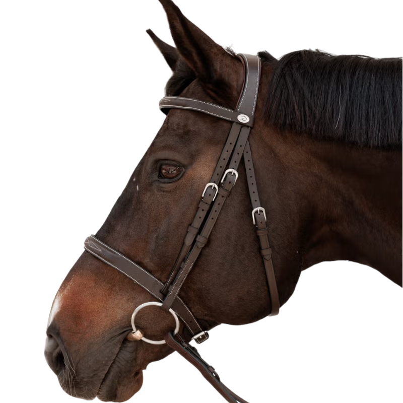 Dyon - Bridon Hunter marron