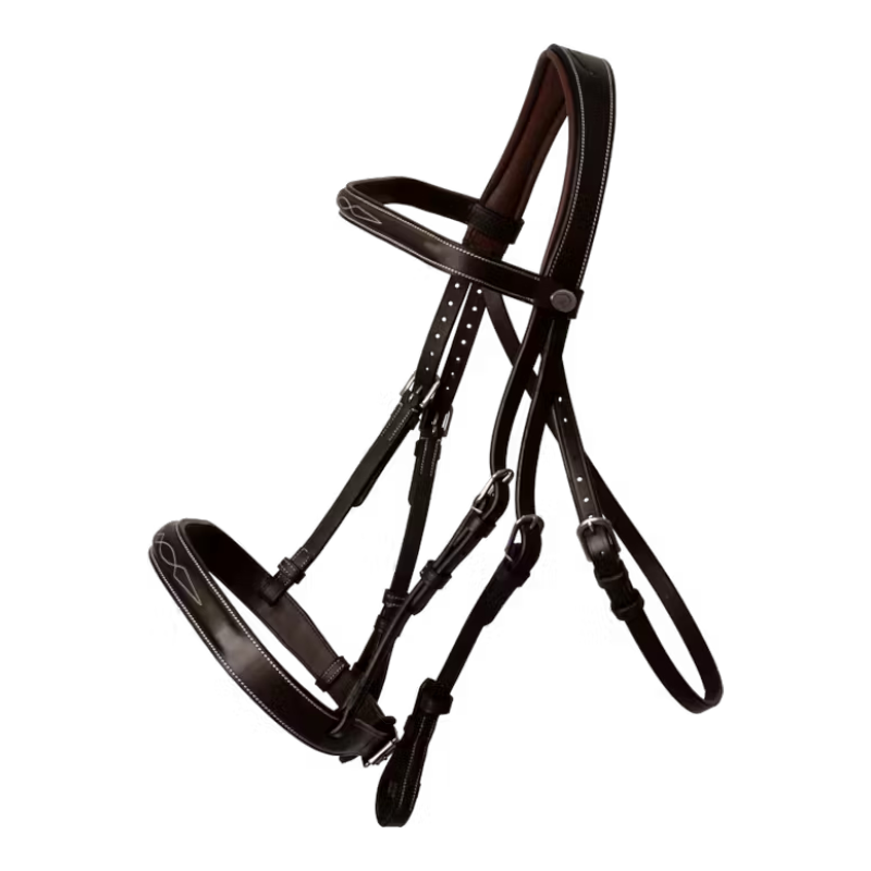 Dyon - Bridon Hunter marron