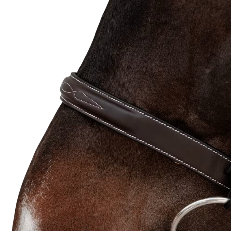 Dyon - Bridon Hunter marron