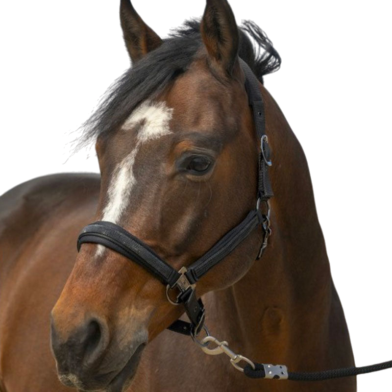 Equithème - Licol nylon Strass noir | - Ohlala