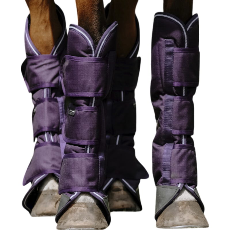 Equithème - Guêtres de transport Tyrex 600D prune | - Ohlala