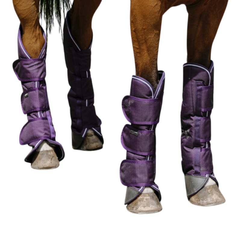 Equithème - Guêtres de transport Tyrex 600D prune | - Ohlala