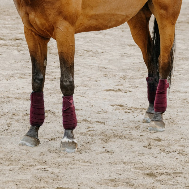 Equithème - Bande de polo 3M bordeaux