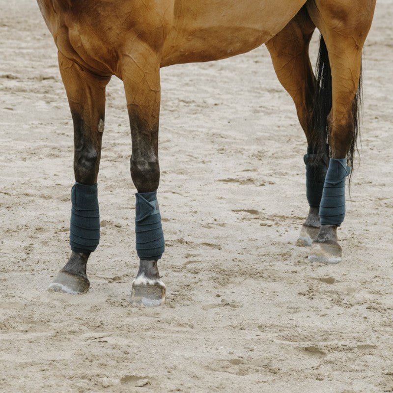 Equithème - Bande de polo 3M vert foncé (x4) | - Ohlala