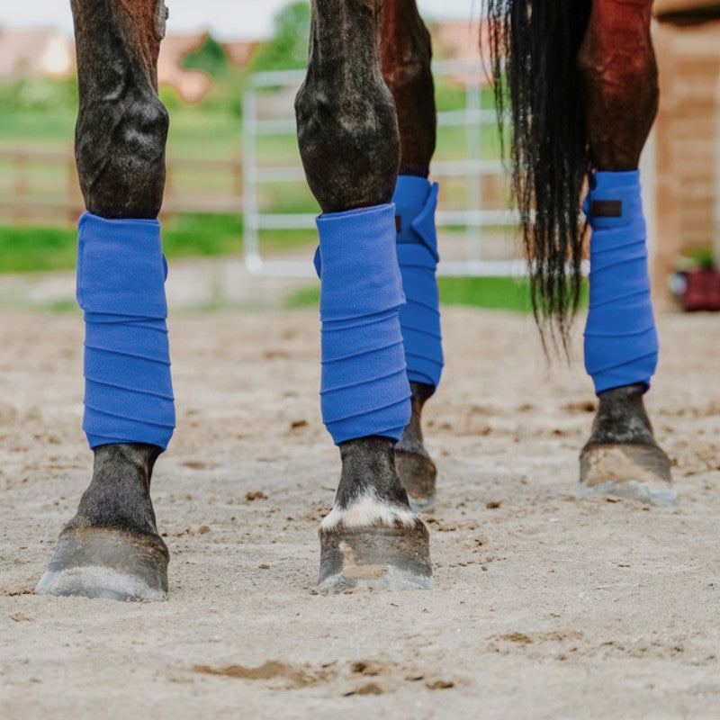 Equithème - Bandes de polo 3M bleu roi (x4) | - Ohlala