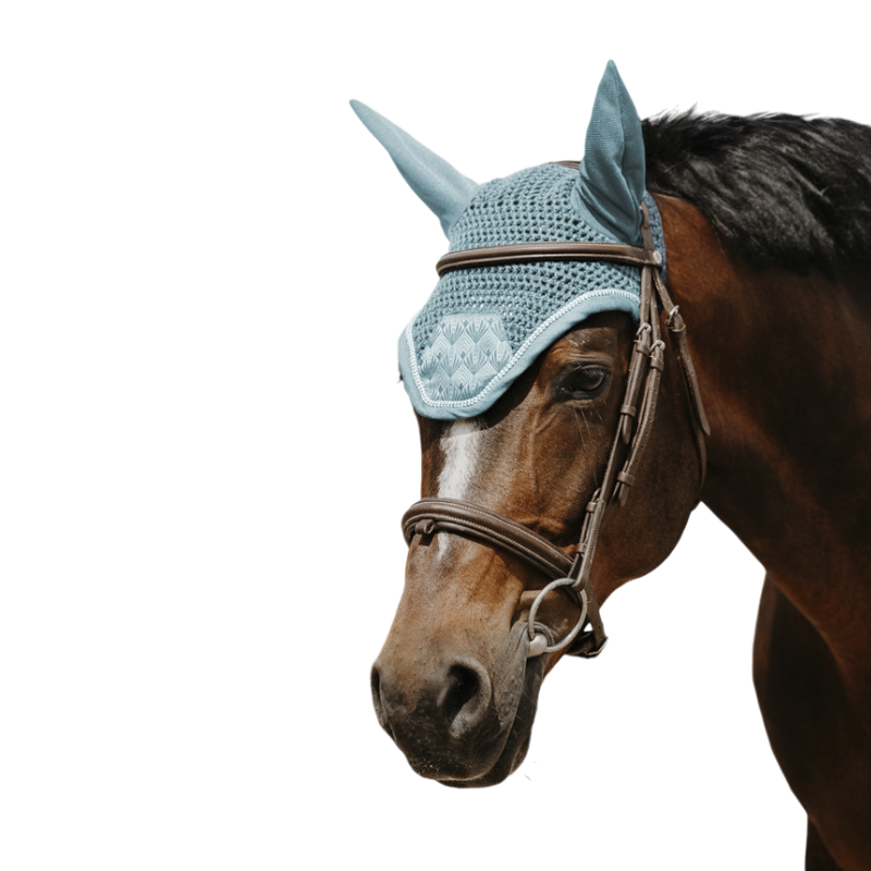 Equithème - Bonnet pour chevaux Brocart bleu clair | - Ohlala
