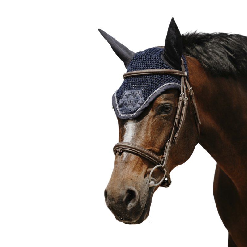 Equithème - Bonnet pour chevaux Brocart marine | - Ohlala