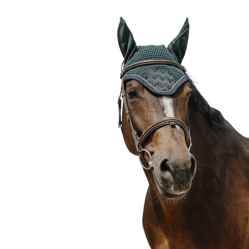 Equithème - Bonnet pour chevaux Brocart vert foncé | - Ohlala