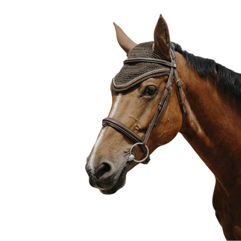 Equithème - Bonnet pour chevaux Hexalight marron | - Ohlala