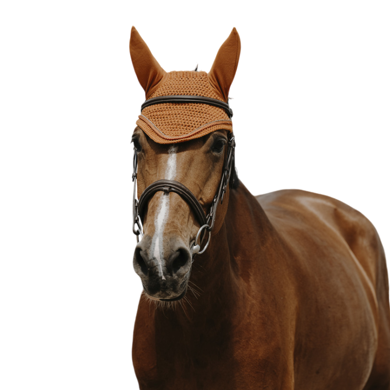 Equithème - Bonnet pour chevaux Hexalight rouille | - Ohlala