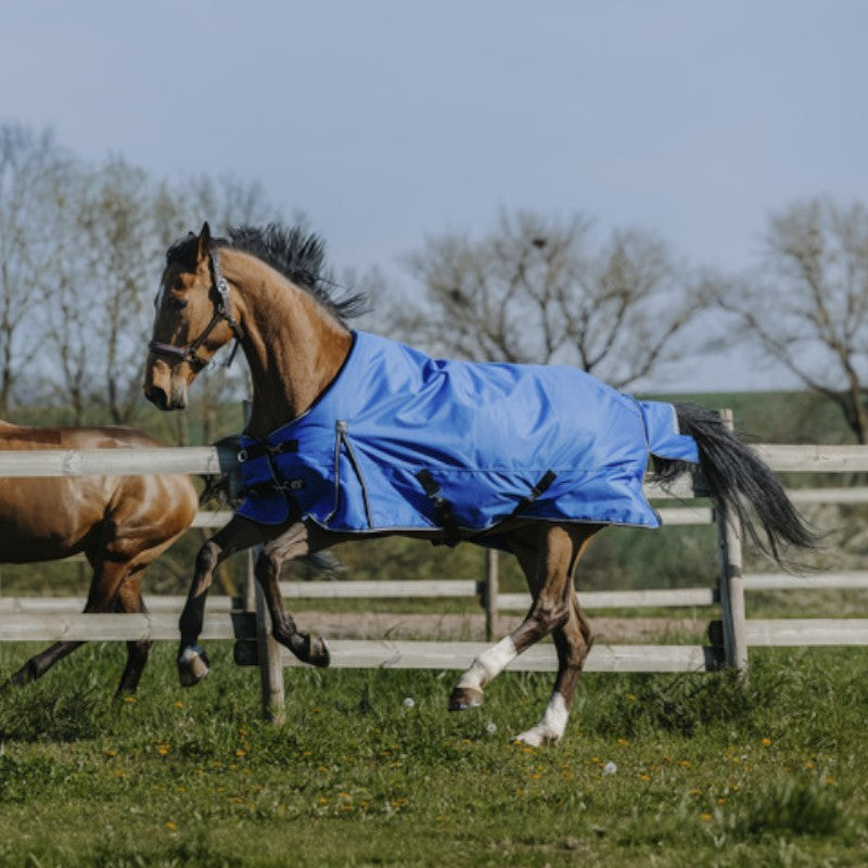 Equithème - Couverture d'extérieur Tyrex Aisance 1200D bleu roi 0g | - Ohlala