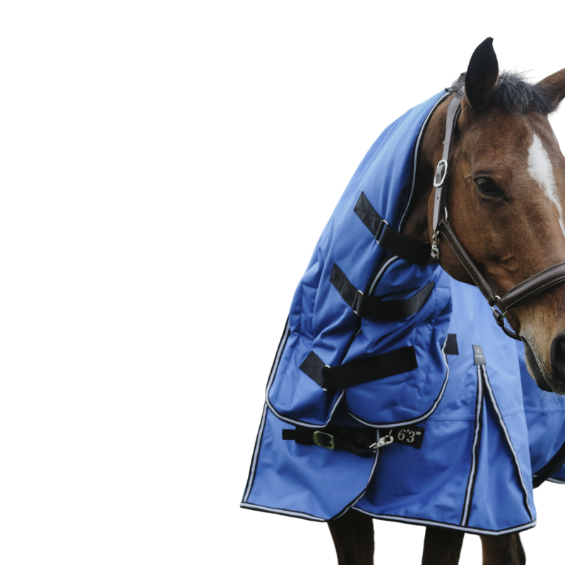 Equithème - Couverture d'extérieur Tyrex Aisance 1200D Combo bleu roi 300g | - Ohlala