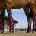 Equithème - Transportbeenbeschermers Tyrex 1200D versterkt bordeaux | - Ohlala