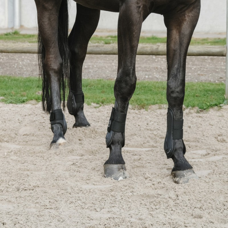 Equithème - Guêtres et protège-boulets Je t'aime noir | - Ohlala
