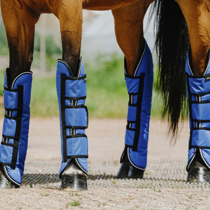 Equithème - Guêtres de transport Tyrex Aisance 1200D bleu roi (X4) | - Ohlala