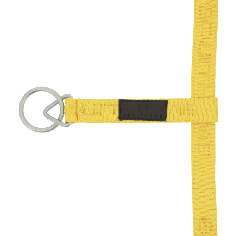 Equithème - Licol Nylon Jacquard or