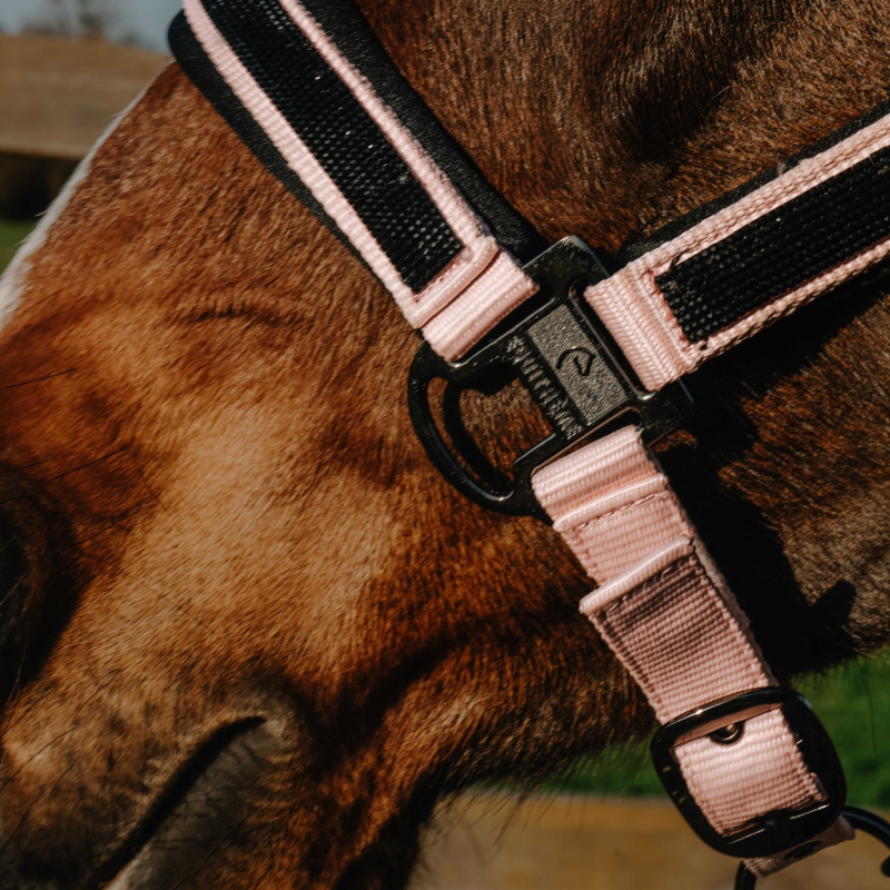 Equithème - Nylon halster Strass roze