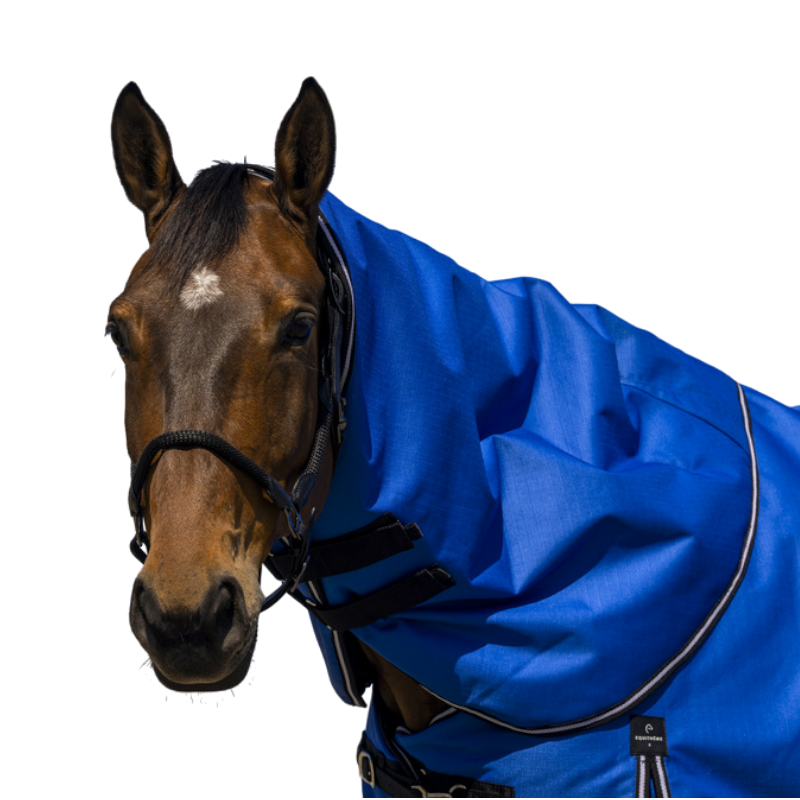 Equithème - Couvre-cou Tyrex Aisance 1200D bleu roi 0g | - Ohlala