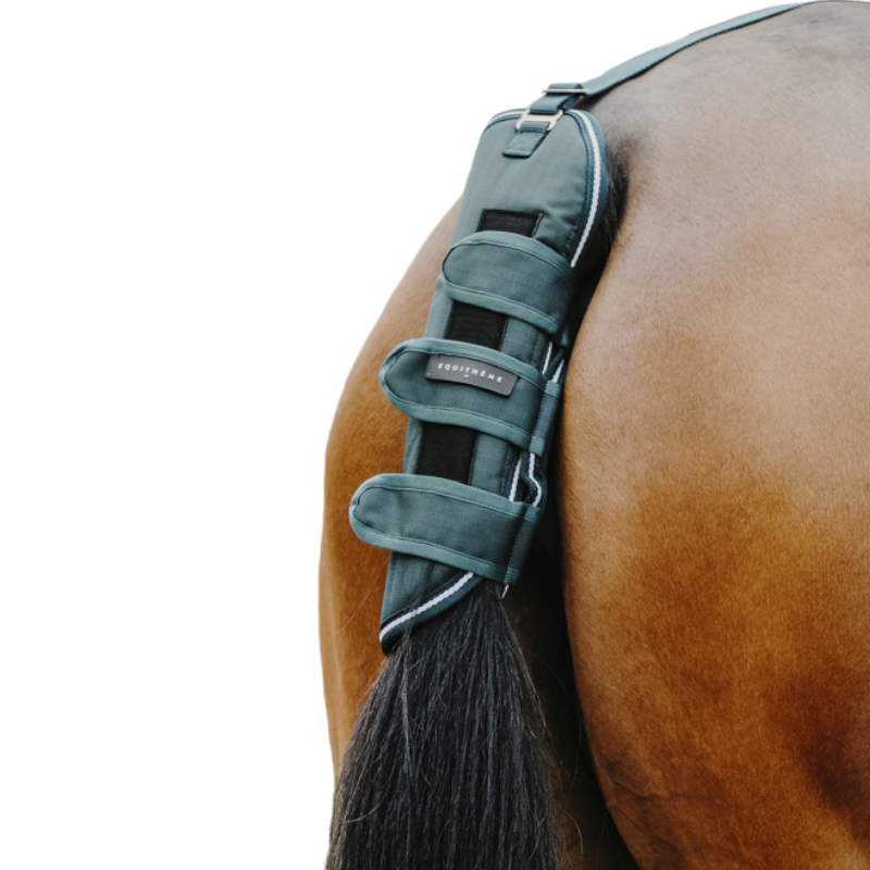 Equithème - Protège-queue Tyrex 600D vert | - Ohlala