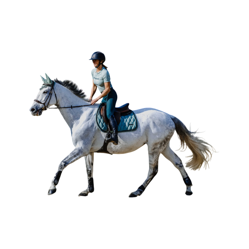 Equithème - Zadeldek Pearl groen