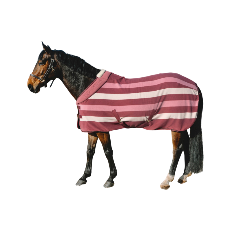 Equithème - Chemise polaire Confortec rose 160g