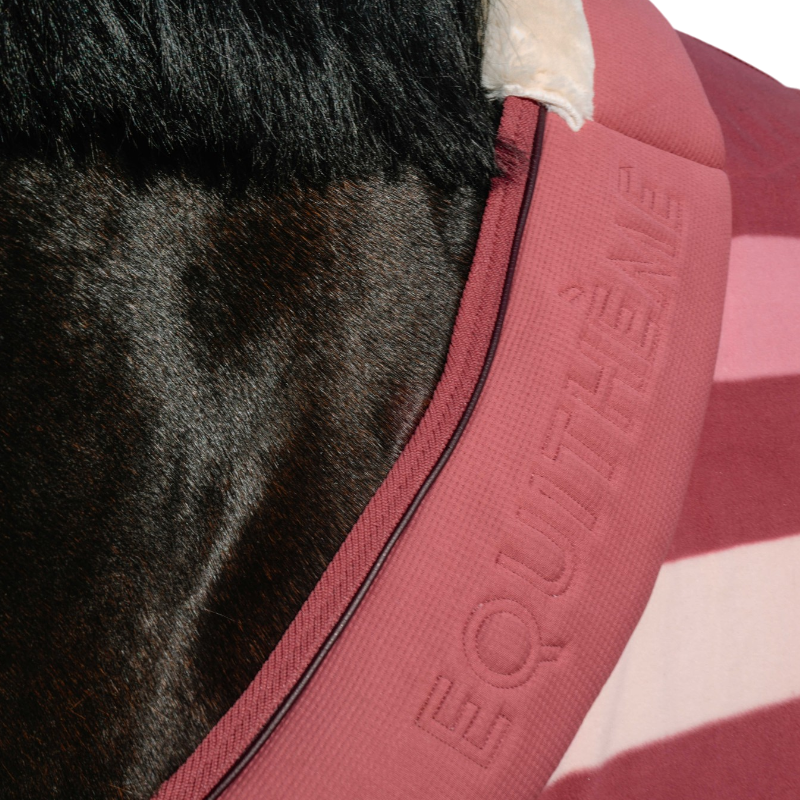 Equithème - Chemise polaire Confortec rose 160g