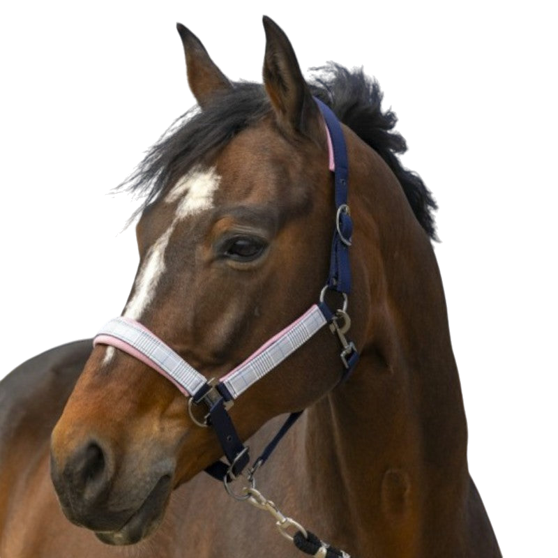 Equithème - Licol nylon Check marine | - Ohlala
