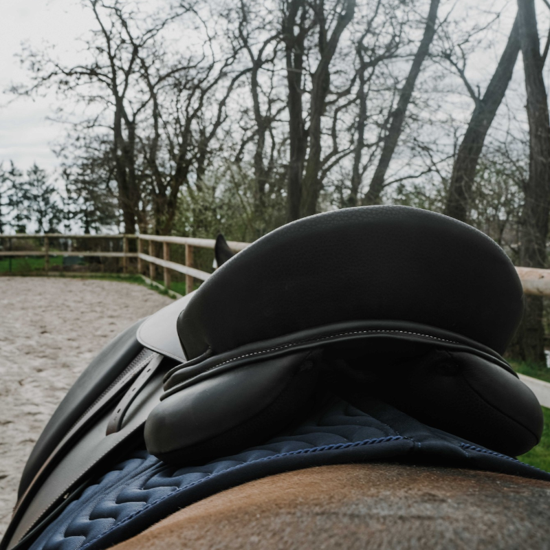 Eric Thomas - Selle Hybrid Confortech Mixte havane