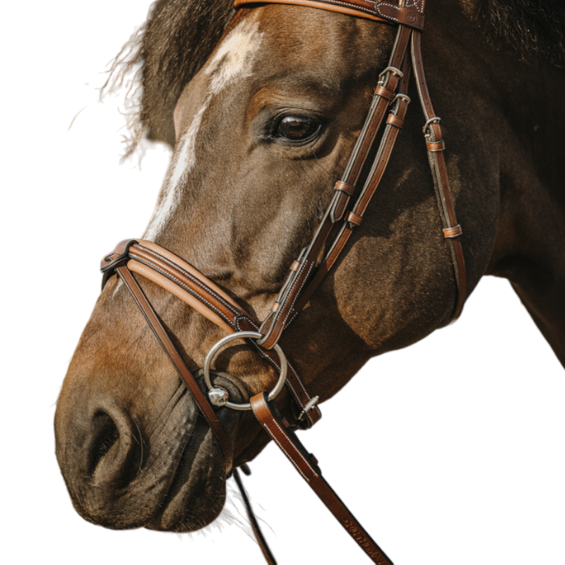 Eric Thomas - Bridon Work havane | - Ohlala