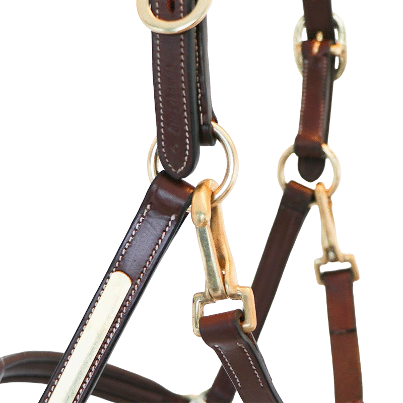 Eric Thomas - Licol cuir Grooming havane | - Ohlala