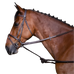 Riding World - Enrênement caoutchouc havane | - Ohlala
