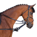 Riding World - Enrênement caoutchouc noir | - Ohlala