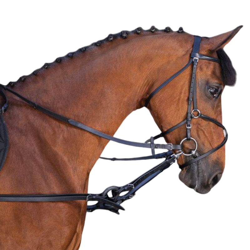 Riding World - Enrênement caoutchouc noir | - Ohlala