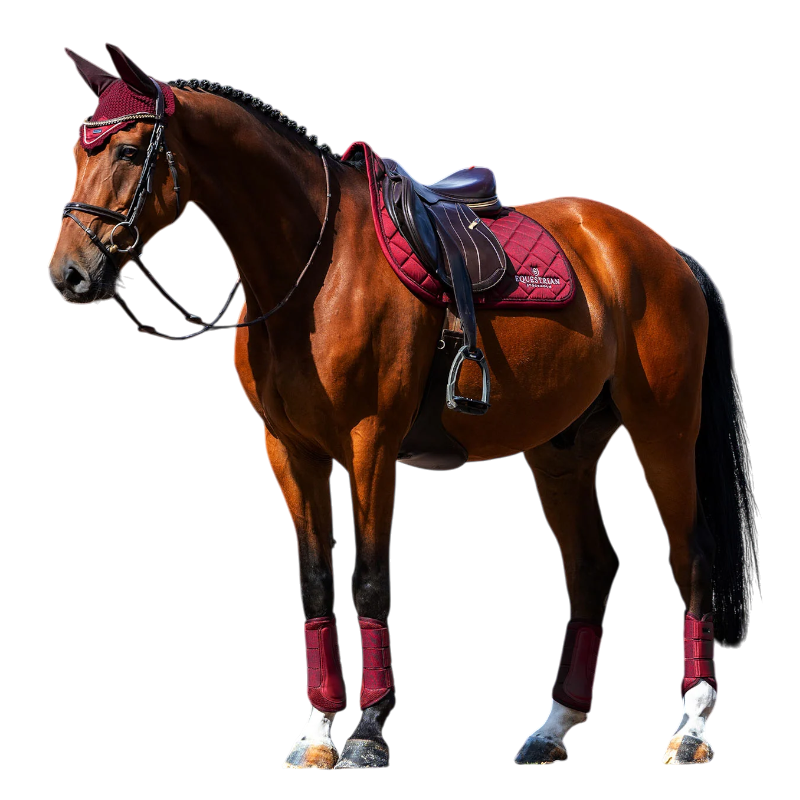 Equestrian Stockholm - Zadeldek Line bordeaux | - Ohlala