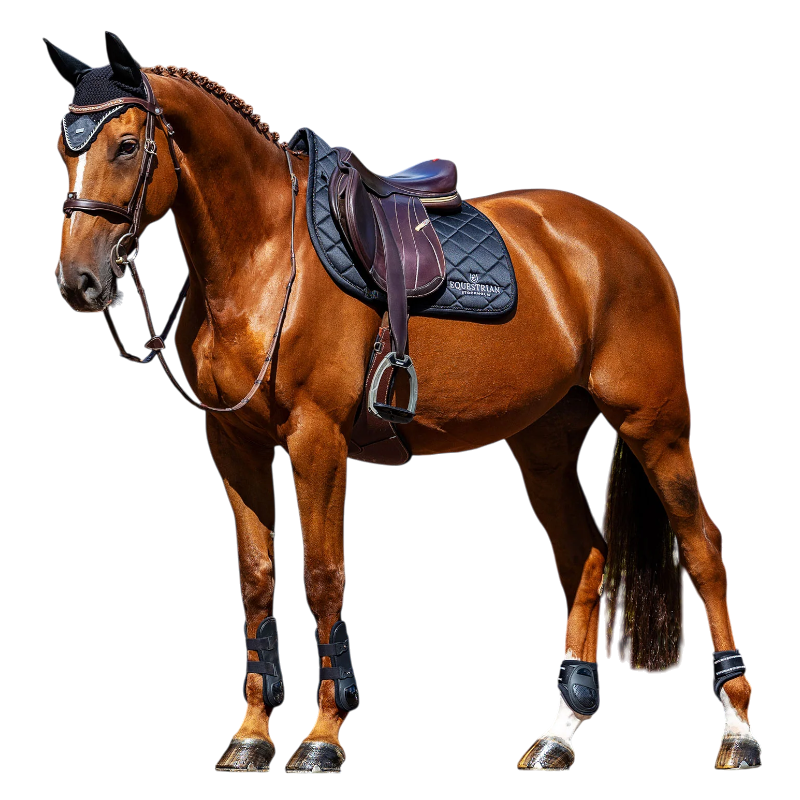 Equestrian Stockholm - Zadeldek Line zwart | - Ohlala