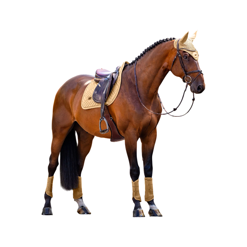 Equestrian Stockholm - Zadeldek Modern midsummer glow | - Ohlala