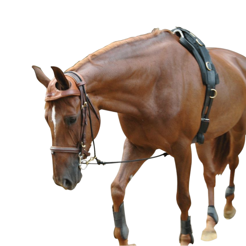 Eric le Tixerant - Equi-longe | - Ohlala
