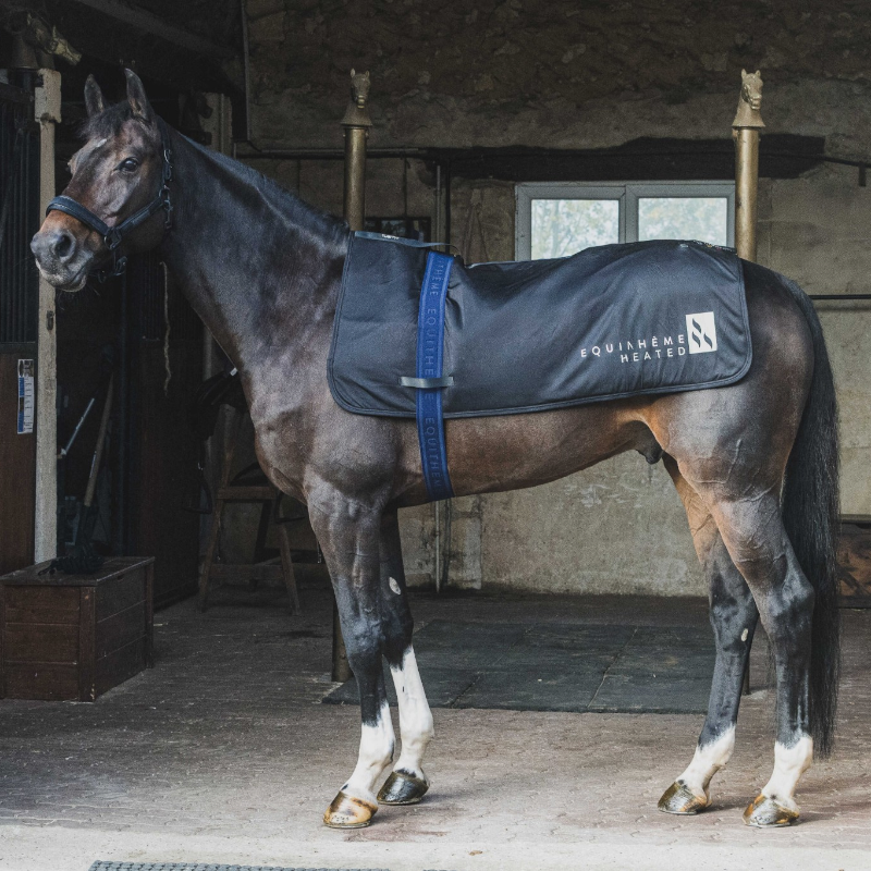 Equithème - Chauffe-dos Heated noir
