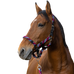Equithème - Gevlochten halster en leilijn fuchsia/hemelsblauw/marine | - Ohlala