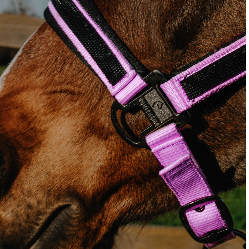 Equithème - Licol nylon Strass rose